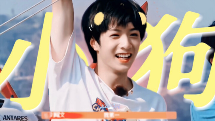 ยอมรับเถอะ คุณขาดเจ้าตูบขี้เล่นไม่ได้เลย【หลิว เย่าเหวิน】