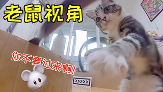 Saya hampir dimakan oleh kucing saya sendiri. Saya berubah menjadi tikus dan dikejar oleh kucing itu