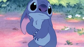 "Bạn đã gặp Stitch của riêng mình chưa..."