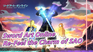 Sword Art Online
Re-Feel the Charm of SAO