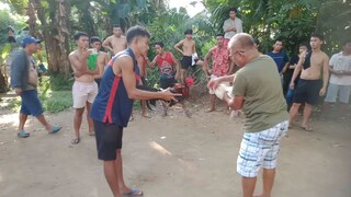 9.5 first fight. Puti yung amin