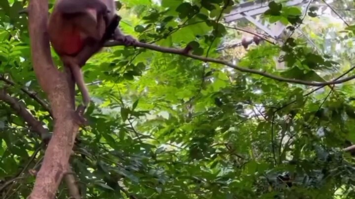 বাংলাদেশের হবিগঞ্জ জেলা প্রাকৃতিক দৃশ্য। #natural #Beautiful