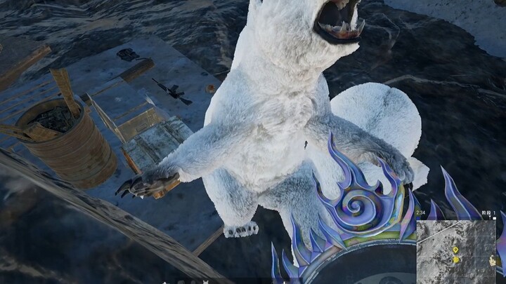 Born to be a streamer