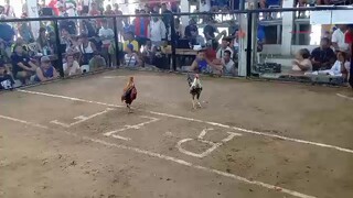piso
