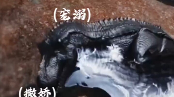 Ini adalah Love and Dragon Beasts? (Dofu yang suka ngumpulin telur)