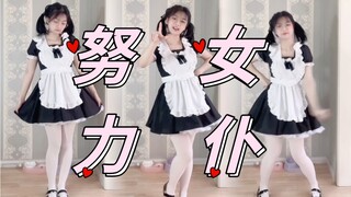 تدريب أطراف حيوانات العمل لتقديم هدية 520 للجميع