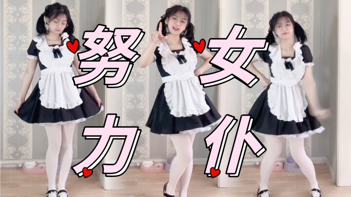 تدريب أطراف حيوانات العمل لتقديم هدية 520 للجميع