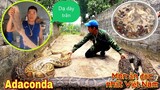 Ẩm Thực Độc Lạ Việt Nam | Dạ Dày Trăn Khổng Lồ Anaconda 100Kg Hầm Thuốc Bắc | Trần Thạch Vlogs