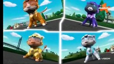 paw patrol musim 9 Episode 5 Bahasa indonesia Vision+