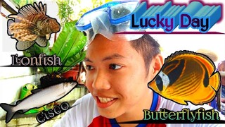 Unexpected Catch | Butterflyfish & Lionfish | Additional: 1 Big Cisco