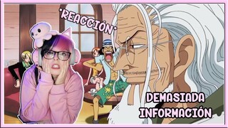 CHARLA ÉPICA CON RAYLEIGH - PRIMERA VEZ VIENDO ONE PIECE