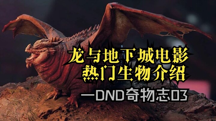 Dungeons & Dragons Movie: Popular Creature Design Introductions — D&D Bestiary 03