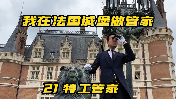 How similar are butlers and agents, really?