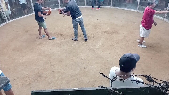 Malas again hindi sumabay si lady' luck disco yata gusto ng manok ko hindi tari