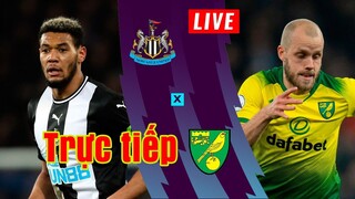 Trực tiếp Newcastle vs Norwich | Vòng 14 Premier League