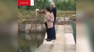 Sự trừng phạt dành cho kẻ hóng hớt 😂 #videohaynhat
