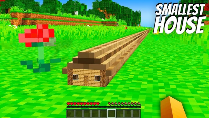 What's INSIDE the LONGEST SMALLEST HOUSE in Minecraft ? I found a TINY  HOUSE !