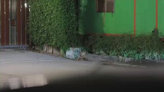 Endless love Tagalog episode 13