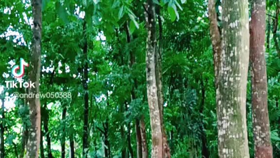 Kay Ganda Ng kalikasan