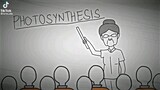 Photosynthesis / pepesan animation