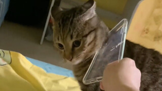 《 ตัวตนที่ขัดแย้ง 》