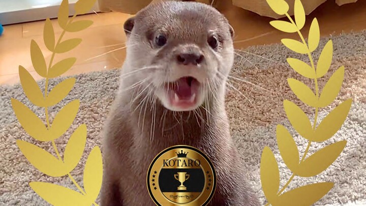 [Otter] Nice to meet you! Taro’s talent show! [Taro and Hana]