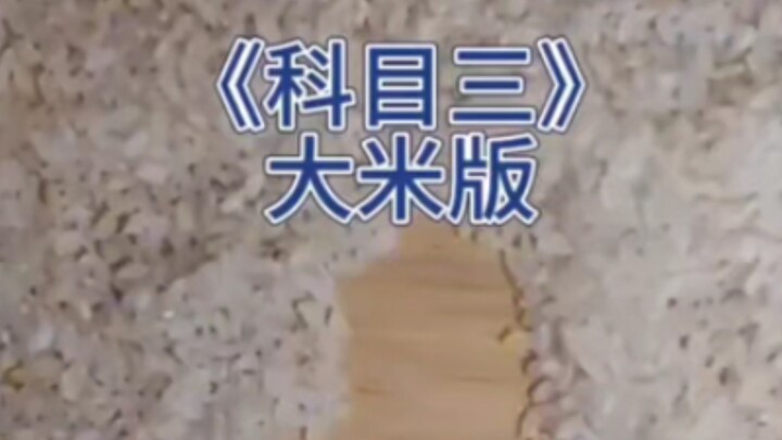 广西科目三 大米版