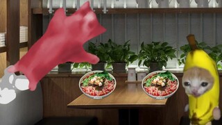 ذهب قط الموز وقط هابي إلى مطعم المعكرونة الذي تركته دمية، لكن اتضح أن المعكرونة حارة جدًا.