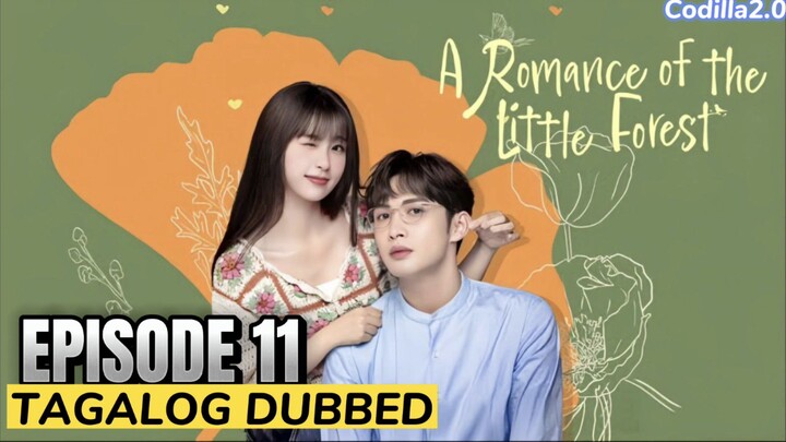 ᗩ ᖇOᗰᗩᑎᑕE Oᖴ TᕼE Little Forest 2022 Episode 11 Tagalog Dubbed HD