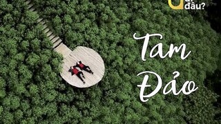 Tam Đảo - Sắc Xanh Quyến Rũ | VTV Travel - Du Lịch Cùng VTV