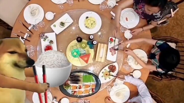 “Người đàn ông thất bại”