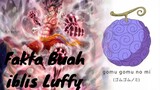 Fakta tentang buah iblis Luffy