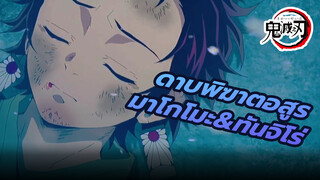 ดาบพิฆาตอสูร
มาโกโมะเป็นโค้ชทันจิโร่ ซึ่งในที่สุดก็ประสบความสำเร็จในการแยกหิน