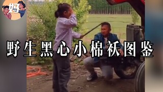 [Wild Human Illustrations] Gender Change, Buttocks Beaten