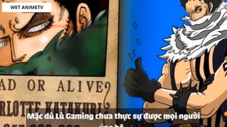Top 6 Lệnh Truy Nã Mới Nhất Trong One Piece 2018 #1 1