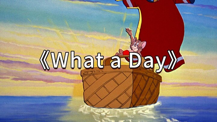 นี่แหละคือเอ็มวีต้นฉบับของ "What a Day"!!!