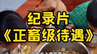 大型纪录片《正畜级待遇》持续为您播出