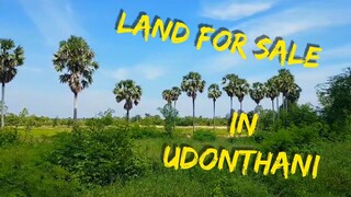 ไปชมที่บรรยากาศดีขายราคาดี Land for Sale Udonthani