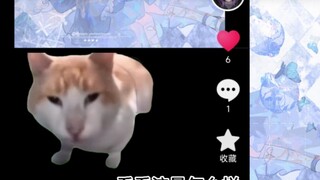画手被限流时的心理活动【猫meme】