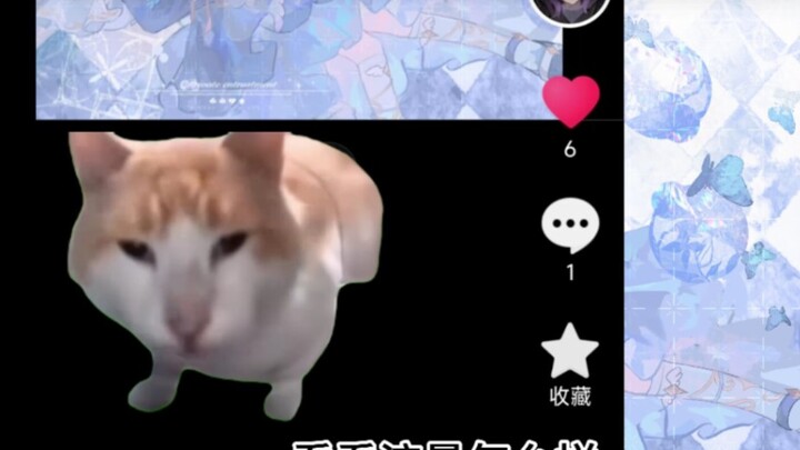 画手被限流时的心理活动【猫meme】