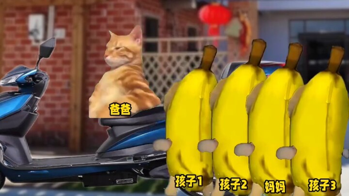 Pertama kali jadi manusia, agak grogi.