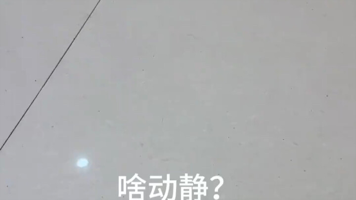 Xem chú cún ngây thơ!