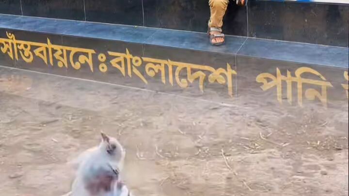 গানের পাখি