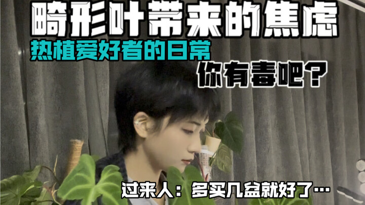 Keseharian Penggemar Tanaman Eksotis | Kecemasan karena Daun Cacat… Aaaah, aku nggak kuat lagi!!