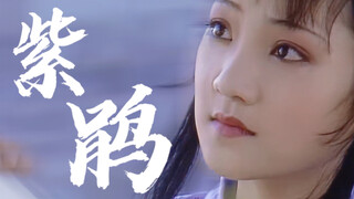 紫鹃｜“我要走了，去南边，陪伴林姑娘”