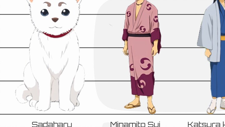 Gintama | So sánh chiều cao nhân vật