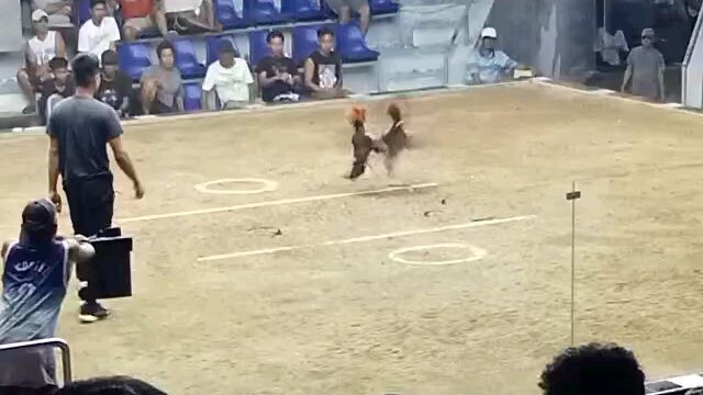 naka chamba si gubatana.