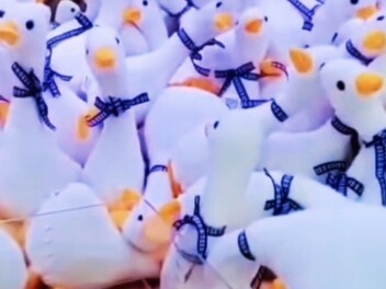 Classic Review: Don't Catch the White Goose