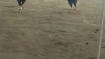 yan po labna Ng manok ko pasensiya na Sa taga video ko maingay