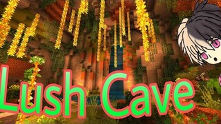 Custom Lush Cave Cavern 1.17